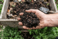Come fare il vermicompost